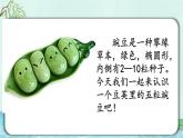 编版版语文四年级上册 5 一个豆荚里的五粒豆 第一课时 同步课件