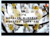 编版版语文四年级上册 9 古诗三首 雪梅 同步课件