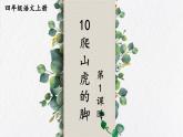 编版版语文四年级上册 10 爬山虎的脚 第一课时 同步课件