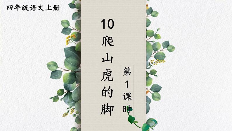 编版版语文四年级上册 10 爬山虎的脚 第一课时 同步课件04