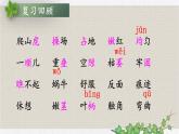 编版版语文四年级上册 10 爬山虎的脚 第二课时 同步课件