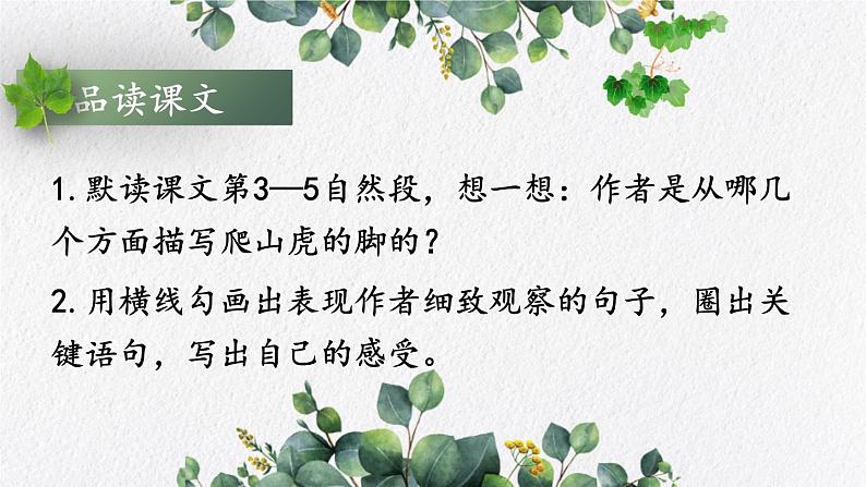 编版版语文四年级上册 10 爬山虎的脚 第二课时 同步课件06