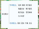编版版语文四年级上册 11 蟋蟀的住宅 第二课时 同步课件