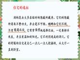 编版版语文四年级上册 11 蟋蟀的住宅 第二课时 同步课件