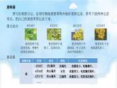 编版版语文四年级上册 习作：写观察日记 第一课时 同步课件