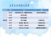编版版语文四年级上册 习作：写观察日记 第一课时 同步课件