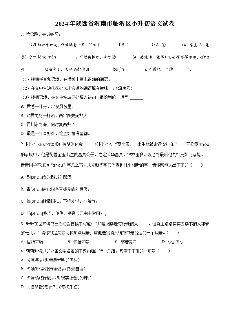 2024年陕西省渭南市临渭区小升初考试语文试卷（原卷版+解析版）01