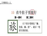10.在牛肚子里旅行（课件）-2024-2025学年统编版语文三年级上册