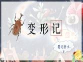 部编版语文六上《习作一：变形记》课件