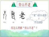 部編版語文六上20《青山不老》課件+課文朗讀