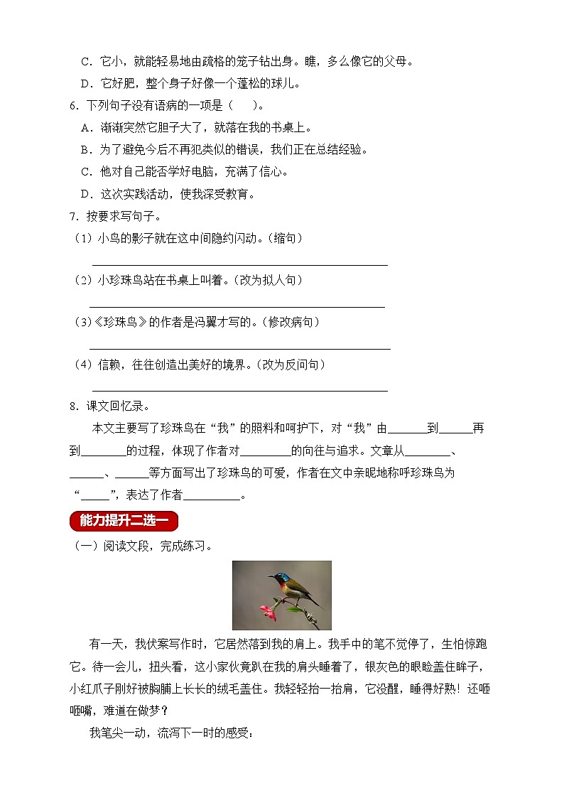 【教-学-评一体化】统编版五年级上册备课包-4.珍珠鸟（课件+教案+学案+习题）02