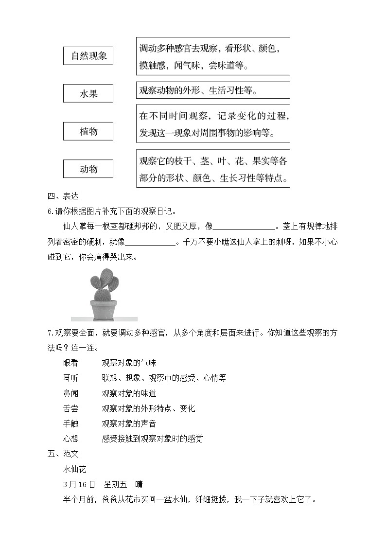 【教-学-评一体化】四年级上册备课包-习作3：写观察日记（课件+教案+学案+习题）02