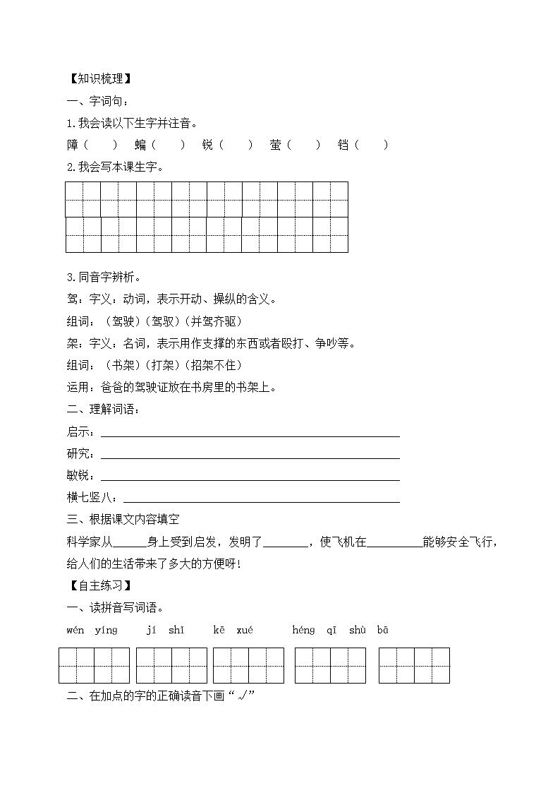 【教-学-评一体化】四年级上册备课包-6.夜间飞行的秘密（课件+教案+学案+习题）02