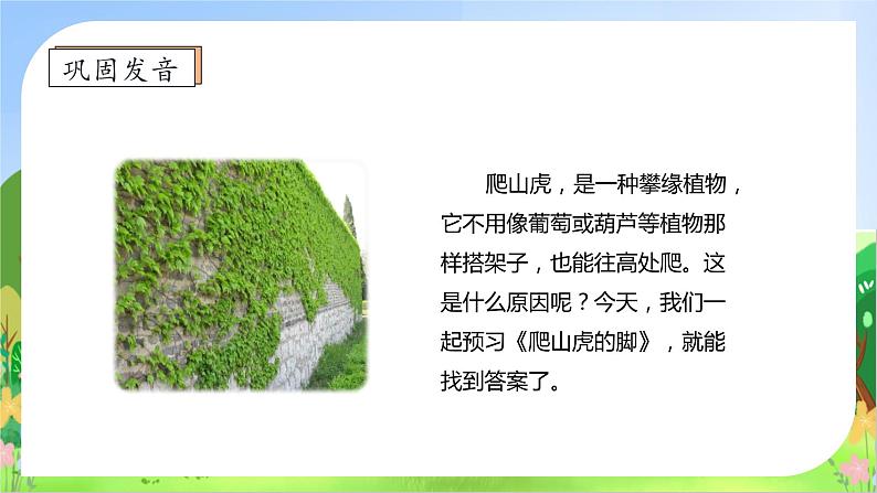 【教-学-评一体化】四年级上册备课包-10.爬山虎的脚（课件+教案+学案+习题）08