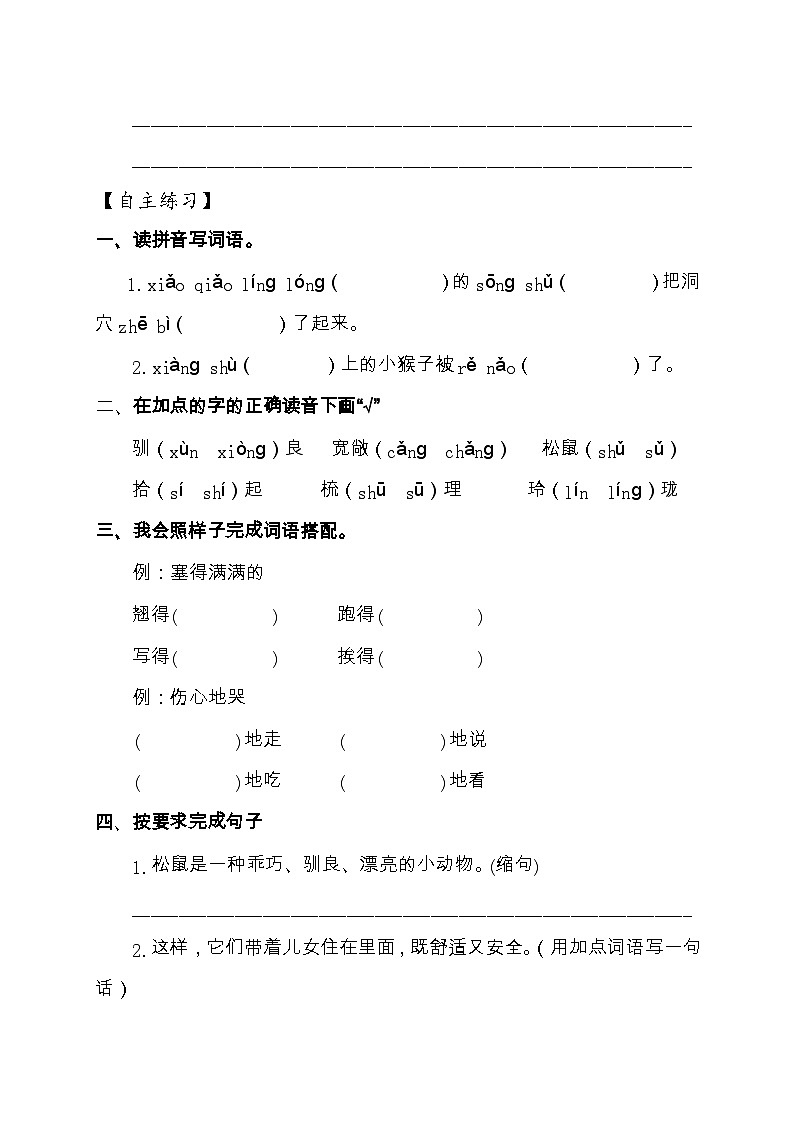 【教-学-评一体化】统编版五年级上册备课包-17.松鼠（课件+教案+学案+习题）03