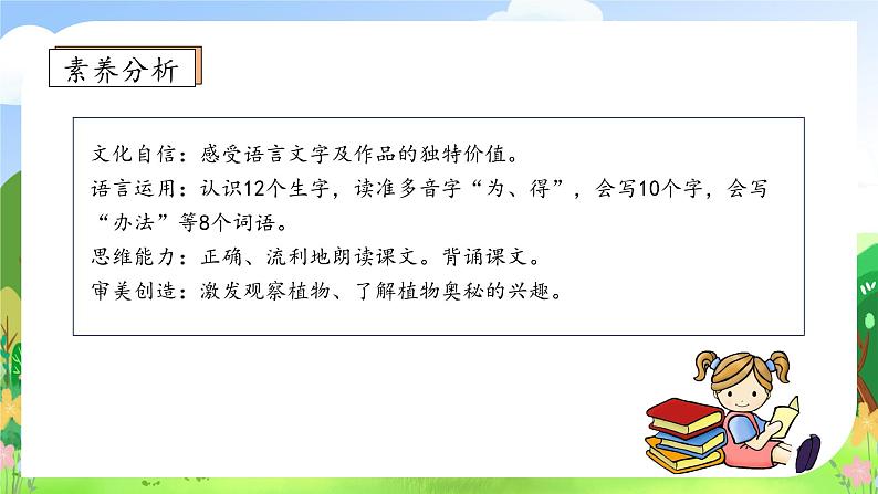 【教-学-评一体化】统编版二年级上册备课包-3. 植物妈妈有办法 两课时（课件+教案+学案+习题）04