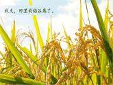 （2024）新课标语文一年级上册 5-1 秋天 第1课时 PPT课件