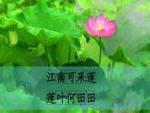 （2024）新课标语文一年级上册 5-2 江南 第2课时 PPT课件
