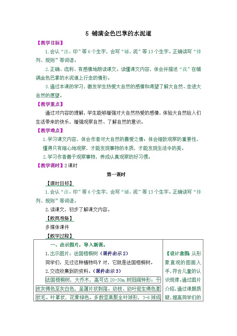 5 铺满金色巴掌的水泥道第1页