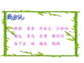 第15课《搭船的鸟》ppt课件（含教案）2024-2025学年统编版语文三年级上册
