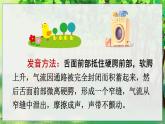 部編語(yǔ)文一年級(jí)上冊(cè) 第3單元 漢語(yǔ)拼音6 j q x PPT課件+教案