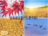 部编语文一年级上册 第5单元 1 秋天 PPT课件+教案