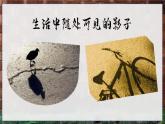 部編語文一年級上冊 第7單元 6 影子 PPT課件+教案