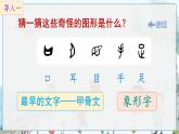 部編語文一年級上冊 第1單元 識字3 口耳目手足 PPT課件+教案