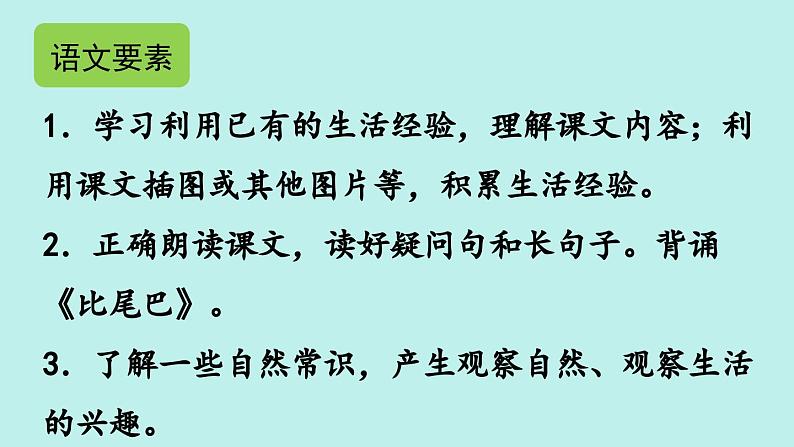 （2024）新课标语文一年级上册 8 比尾巴 PPT课件02