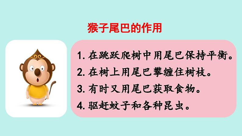 （2024）新课标语文一年级上册 8 比尾巴 PPT课件08