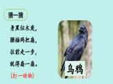 （2024）新課標(biāo)語文一年級(jí)上冊 9 烏鴉喝水 PPT課件