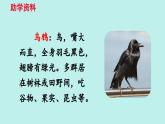 （2024）新課標(biāo)語文一年級(jí)上冊 9 烏鴉喝水 PPT課件