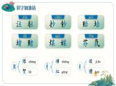 【任务群】部编版语文四上 《语文园地二》课件+教案+音视频素材+课文朗读