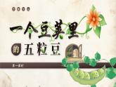 【任务群】部编版语文四上 5《一个豆荚里的五粒豆》课件+教案+音视频素材+课文朗读