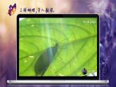 【任务群】部编版语文四上 8《蝴蝶的家》课件+教案+音视频素材+课文朗读