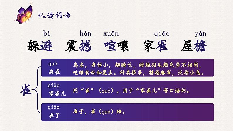 2.8  蝴蝶的家第6页