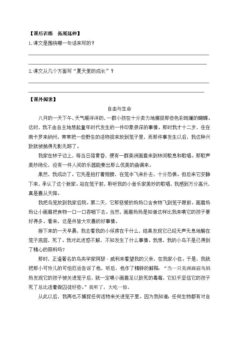 【教-学-评一体】统编版六年级语文上册-16.夏天里的成长  两课时（课件+教案+学案+习题）03