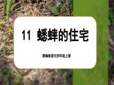 【任务群】部编版语文四上 11《蟋蟀的住宅》课件+教案+音视频素材+课文朗读