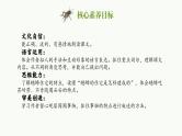 【任务群】部编版语文四上 11《蟋蟀的住宅》课件+教案+音视频素材+课文朗读
