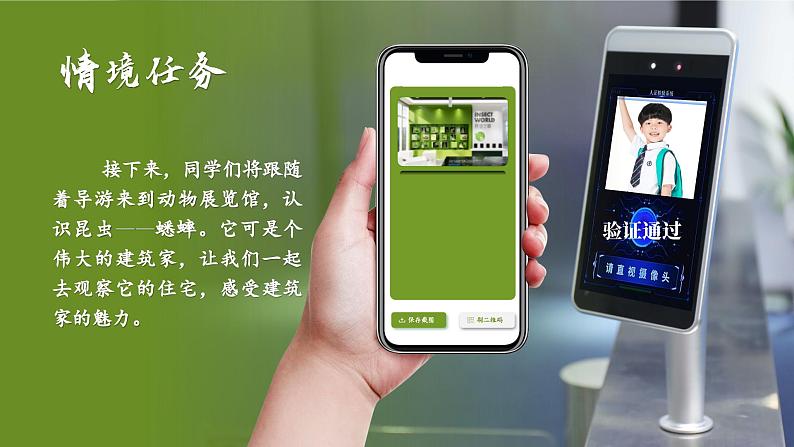【任务群】部编版语文四上 11《蟋蟀的住宅》课件+教案+音视频素材+课文朗读04