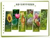 【任务群】部编版语文四上 《习作三：写观察日记》课件+教案+音视频素材+课文朗读