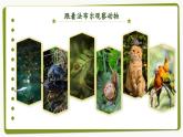 【任务群】部编版语文四上 《习作三：写观察日记》课件+教案+音视频素材+课文朗读