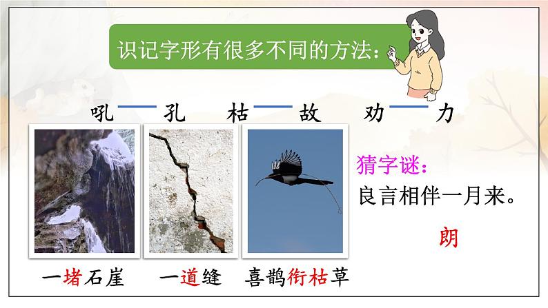 部编语文二年级上册 第5单元 13 寒号鸟 PPT课件+教案06