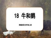 【任务群】部编版语文四上 18《牛和鹅》课件+教案+音视频素材+课文朗读