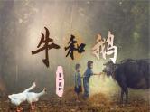 【任务群】部编版语文四上 18《牛和鹅》课件+教案+音视频素材+课文朗读