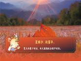 【任務(wù)群】部編版語文四上 《單元導(dǎo)讀：處處留心皆學(xué)問》課件+教案+音視頻素材+課文朗讀