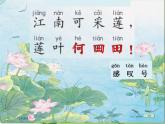 部编版一年级语文上册-第4课-江南 课件