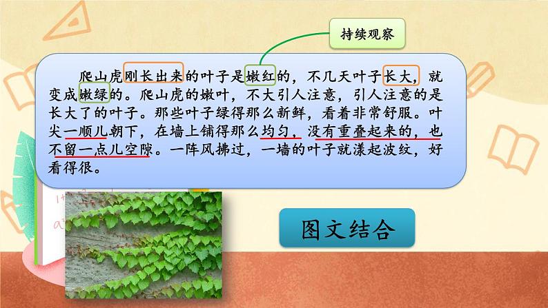 编版版语文四年级上册 第3单元主题阅读 同步课件07