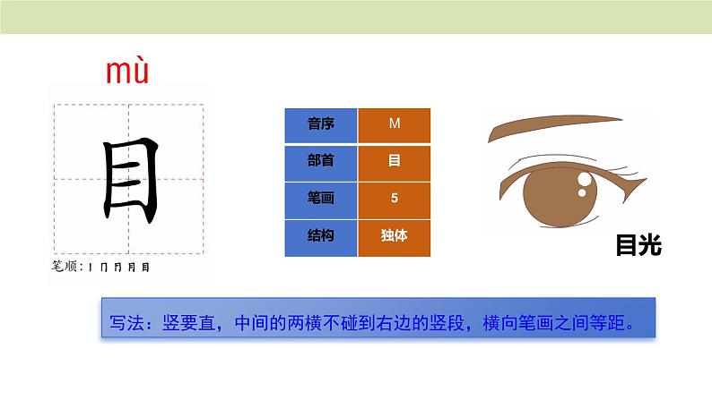 统编版（2024）一年级语文上册课件 第一单元 3 口耳目手足06