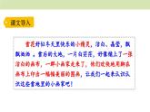 统编版（2024）一年级语文上册课件 第五单元 3 雪地里的小画家